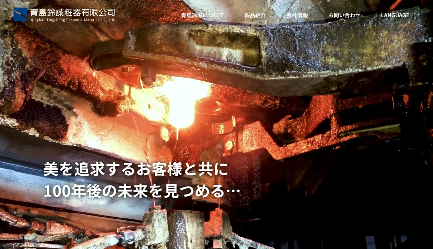 株式会社ネクストビジョン NEXTVISION 制作実績