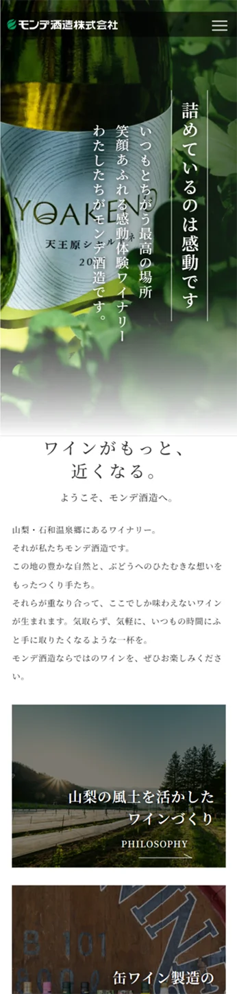 株式会社ネクストビジョン NEXTVISION 制作実績