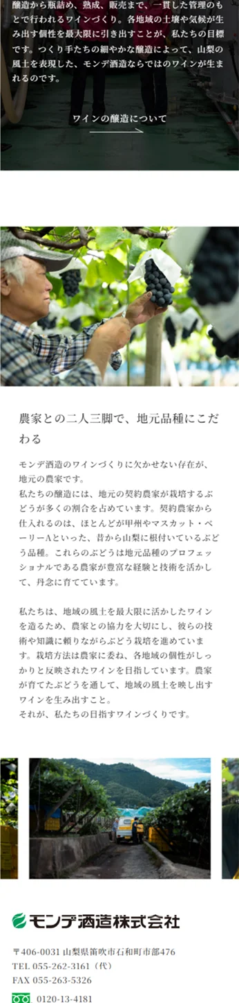 株式会社ネクストビジョン NEXTVISION 制作実績